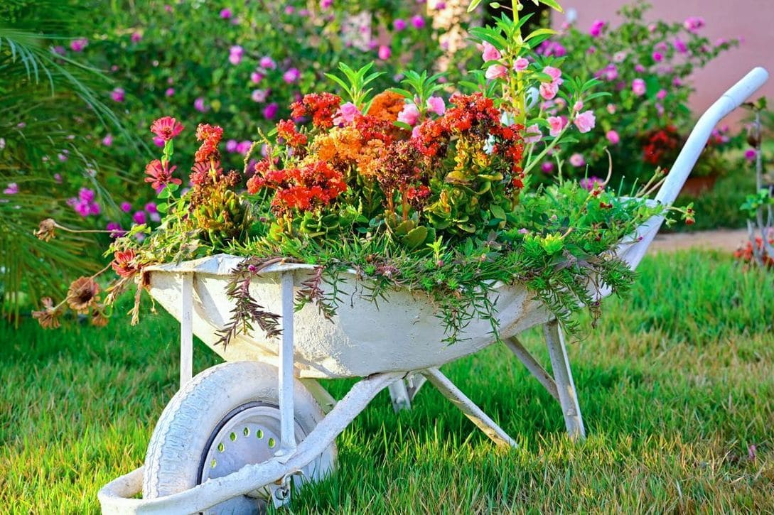 季節を楽しむ寄せ植えで玄関まわりを明るく